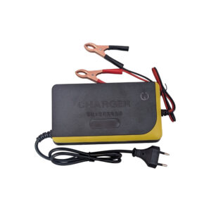 12V Smart Lead-Acid Battery Charger